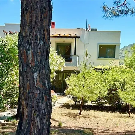 Blue Stone Thassos 3 Bedrooms 8 Guests Willa Órmos Prínou